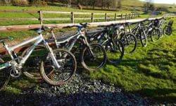 Back at Bike Park Ireland