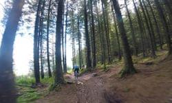 Emerald MTB does Bikepark Wales