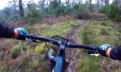 Video: Local Trails in the Sun